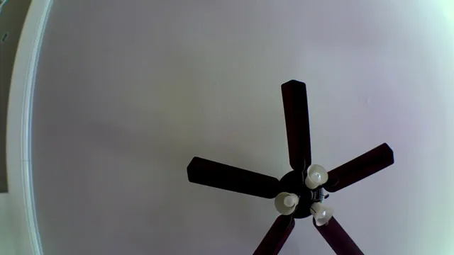 blink camera makes clicking noise