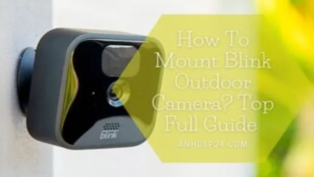 how to grant access to blink camera