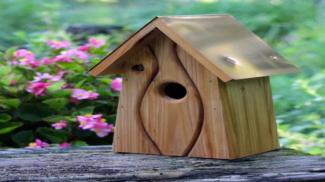 wyze birdhouse