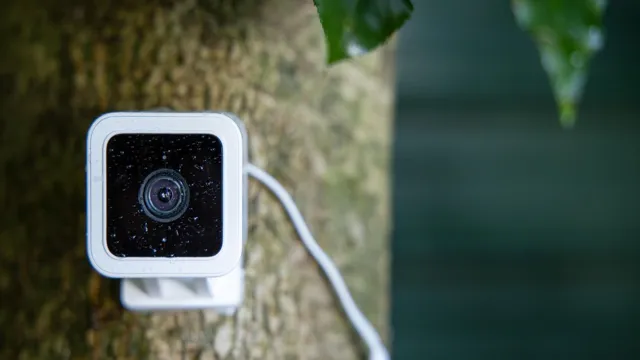 wyze camera shows offline