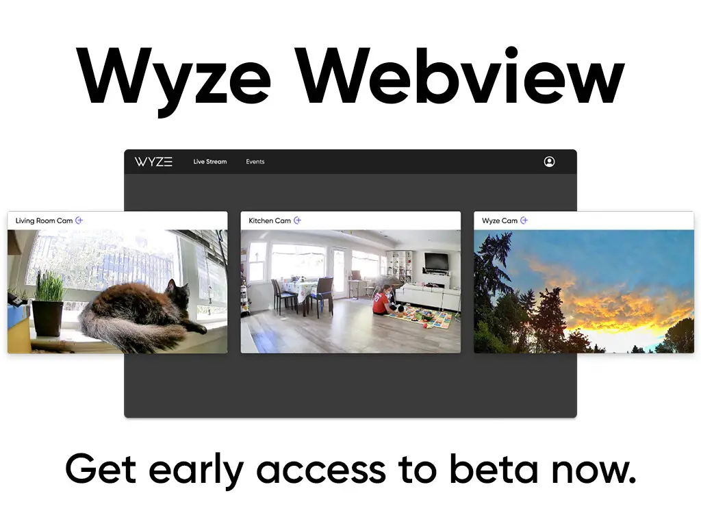 Wyze Web View