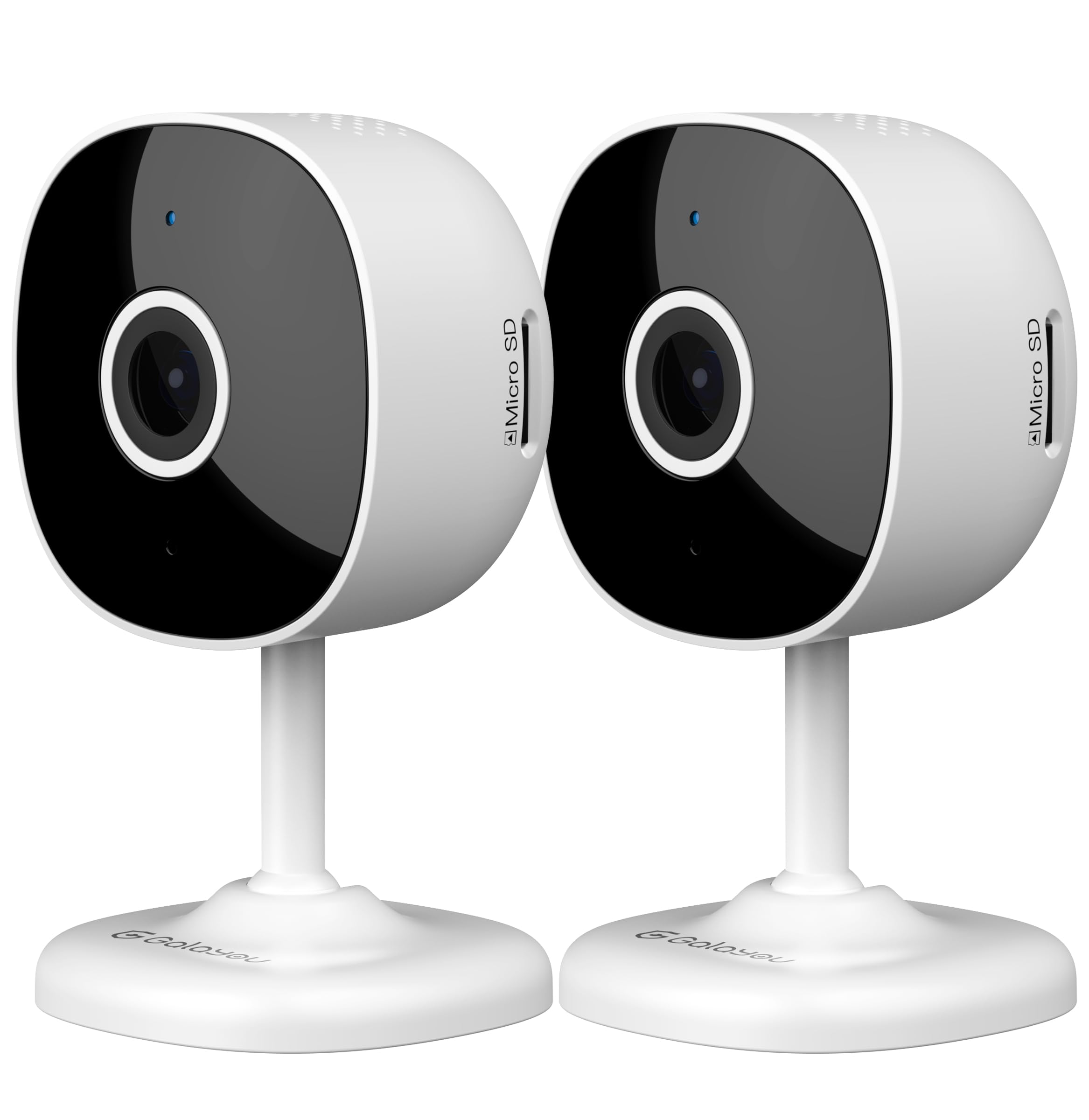 Home Indoor Surveillance Cameras