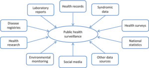 Importance of Public Health Surveillance: Vital Insights