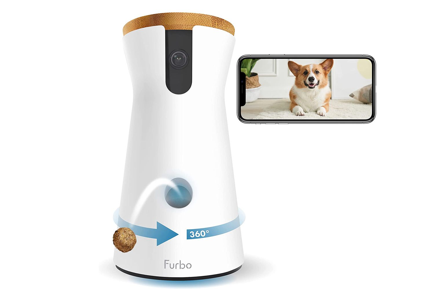 Pet Surveillance Camera