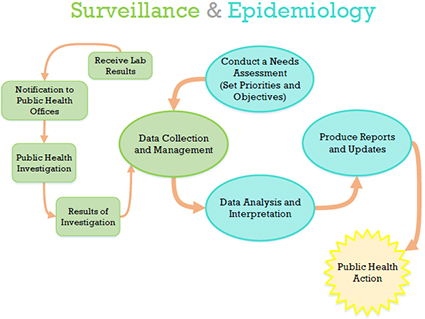 Public Health Surveillance Epidemiology