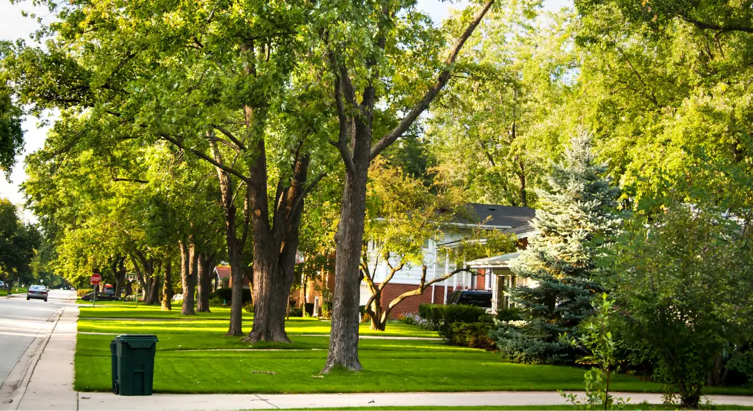 Safest Places to Live in Tennessee