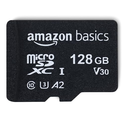 Best Micro Sd for Wyze Camera