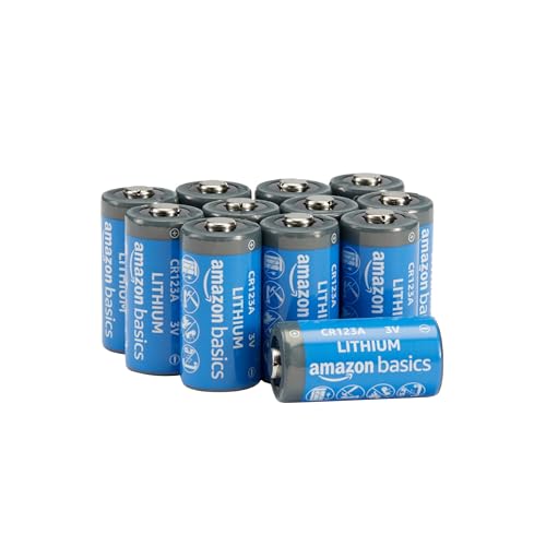 Best Non Rechargeable Battery for Arlo Camera