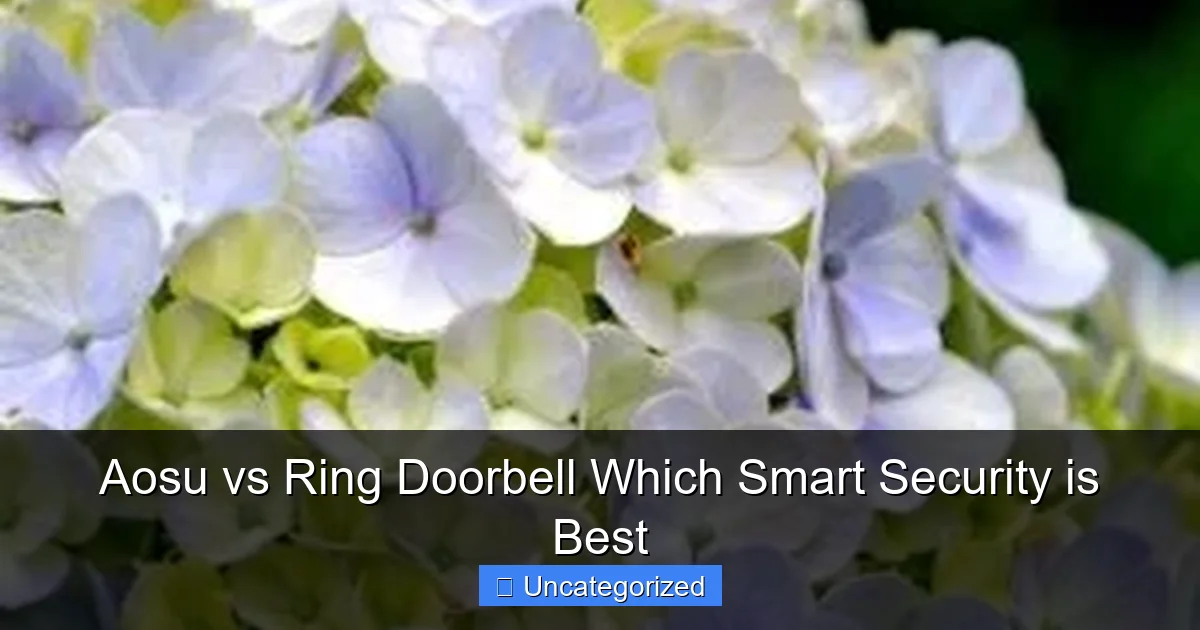 Aosu vs Ring Doorbell Which Smart Security is Best