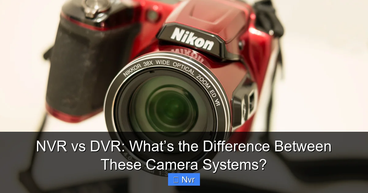 NVR vs DVR: What’s the Difference Between These Camera Systems? - content1 visual guide