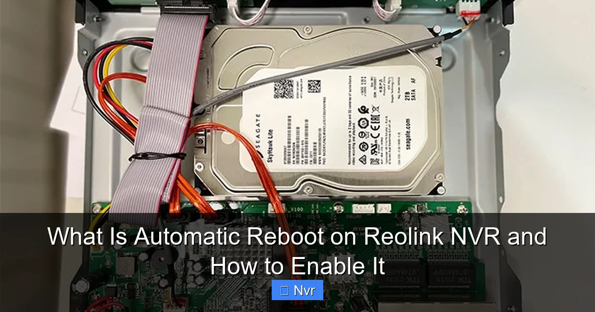 What Is Automatic Reboot on Reolink NVR and How to Enable It - content2 visual guide