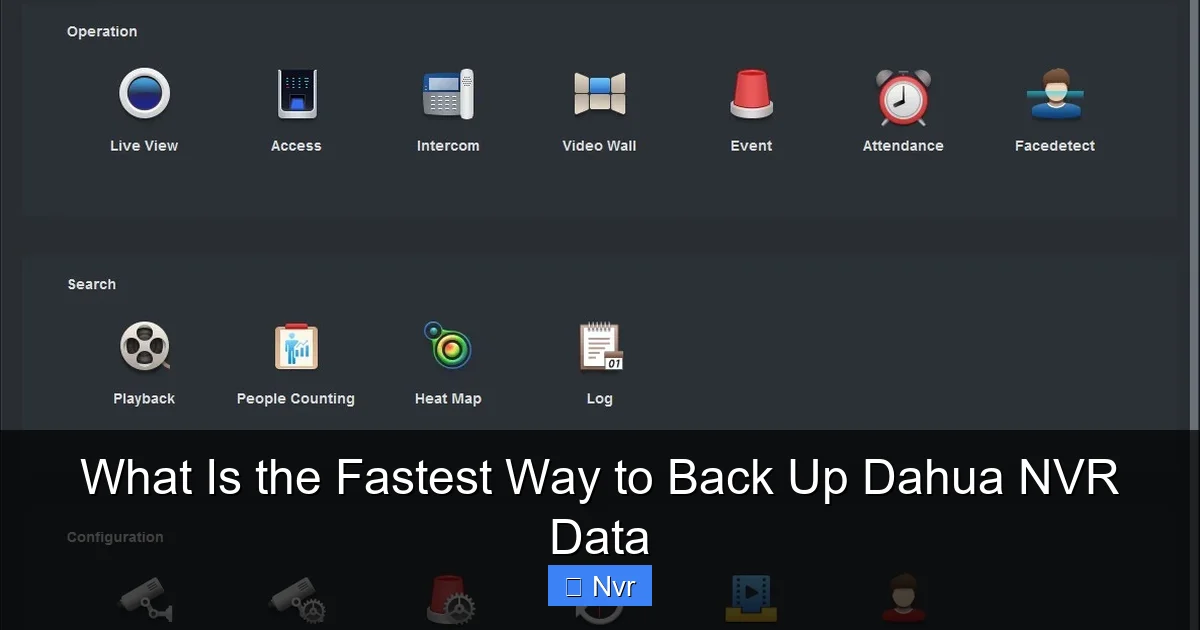What Is the Fastest Way to Back Up Dahua NVR Data - content2 visual guide