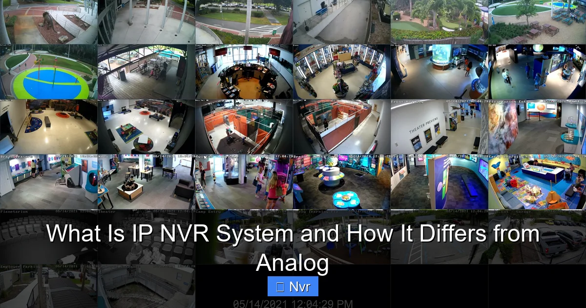What Is IP NVR System and How It Differs from Analog - content2 visual guide