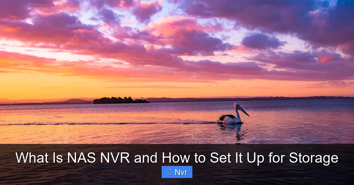 What Is NAS NVR and How to Set It Up for Storage - content1 visual guide