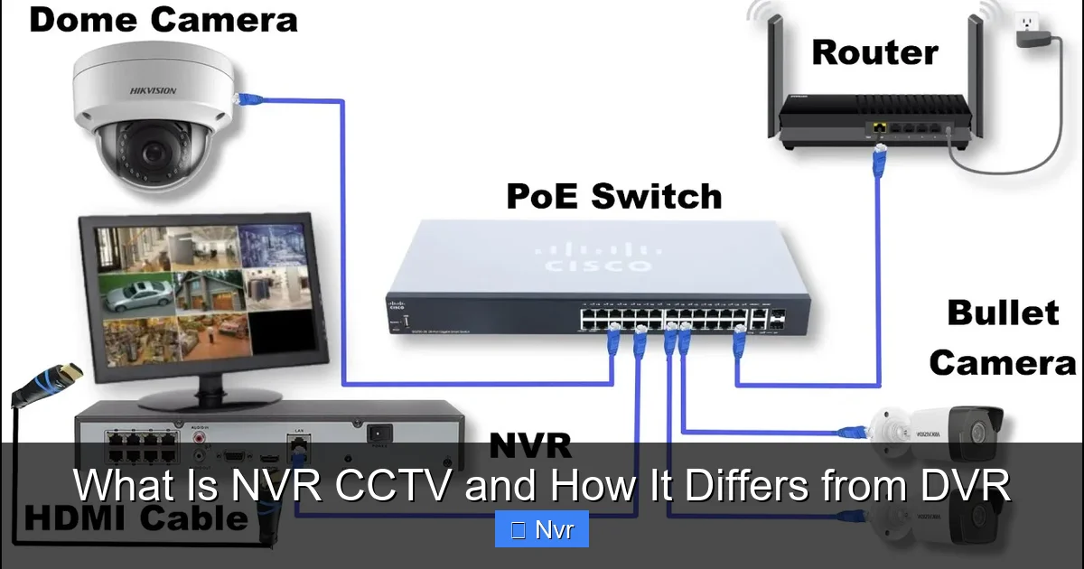 What Is NVR CCTV and How It Differs from DVR - content2 visual guide