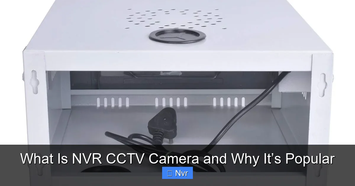 What Is NVR CCTV Camera and Why It’s Popular - content2 visual guide