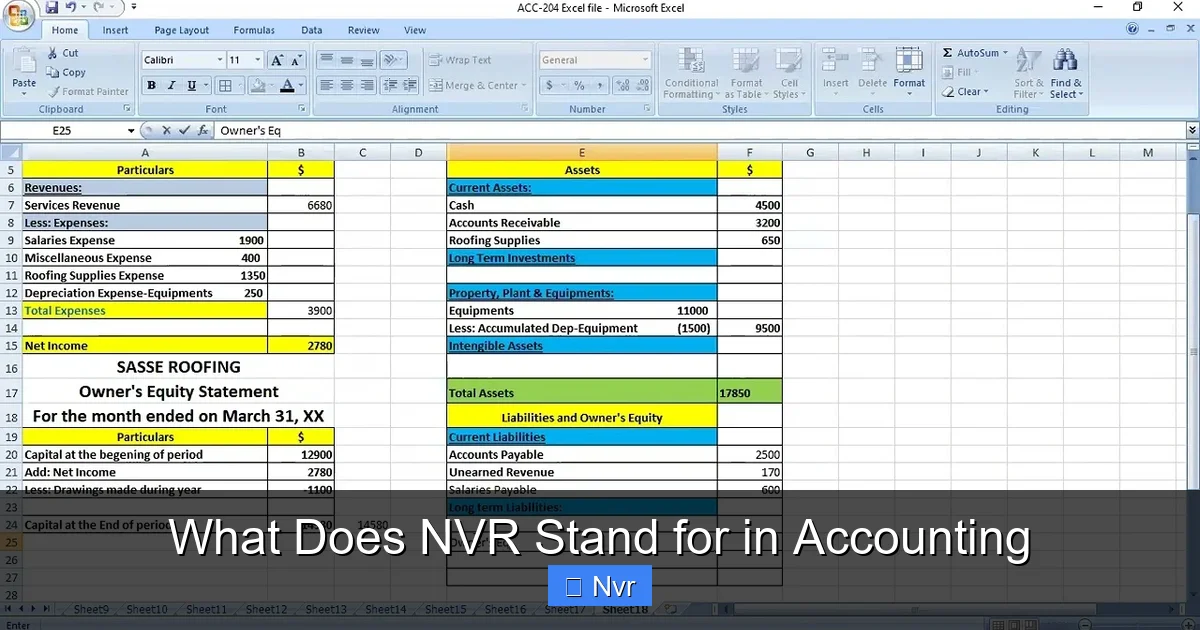 What Does NVR Stand for in Accounting - content1 visual guide