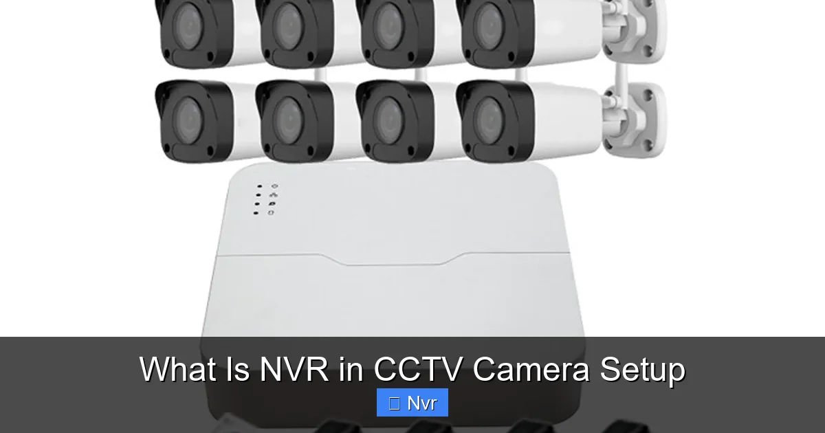 What Is NVR in CCTV Camera Setup - content1 visual guide