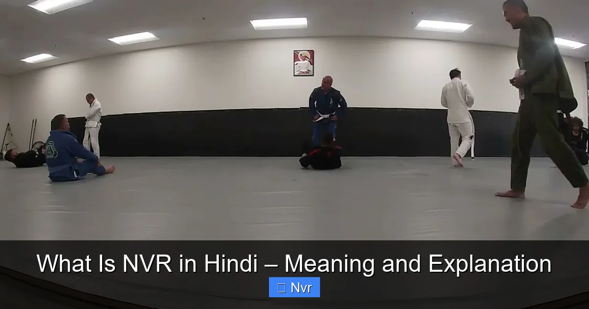 What Is NVR in Hindi – Meaning and Explanation - content1 visual guide