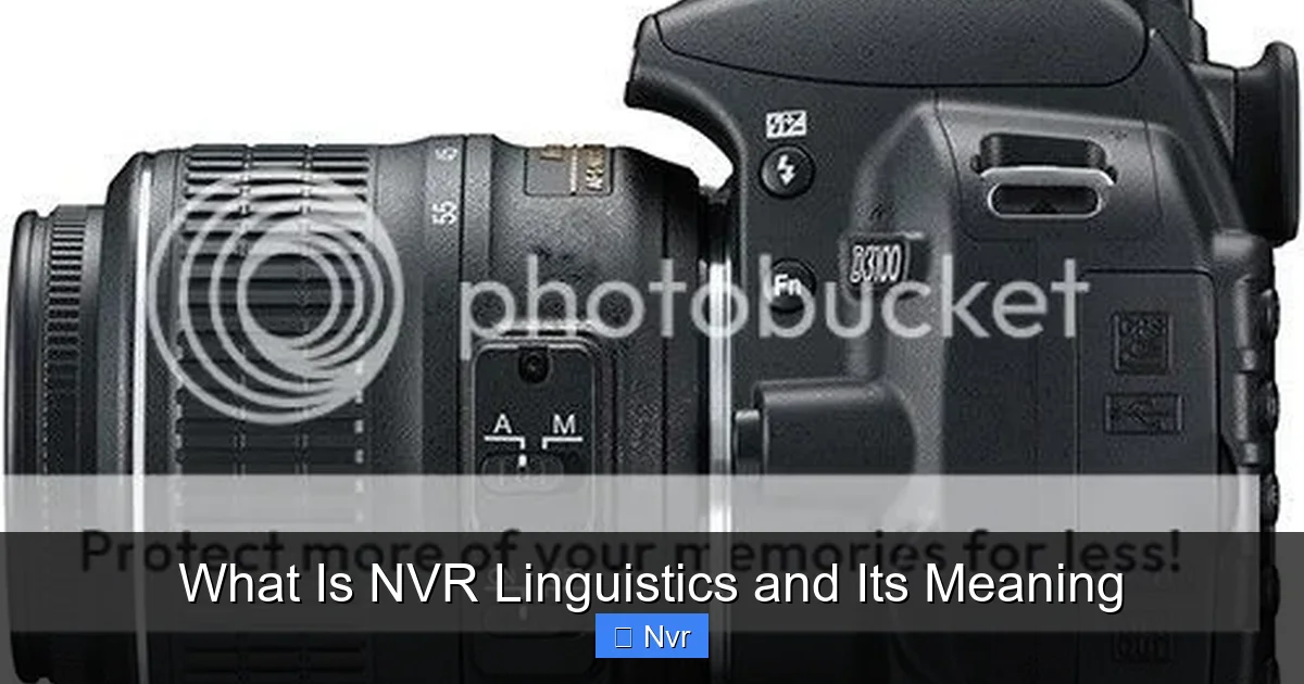 What Is NVR Linguistics and Its Meaning - content1 visual guide