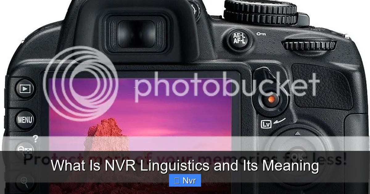 What Is NVR Linguistics and Its Meaning - content2 visual guide