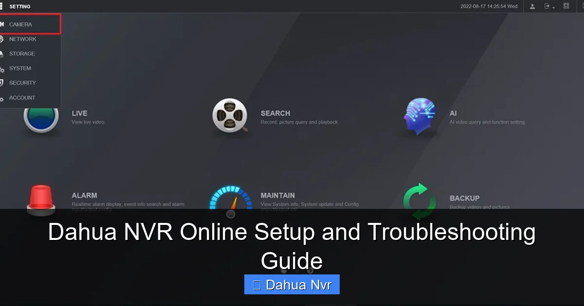 Dahua NVR Online Setup and Troubleshooting Guide - content1 visual guide