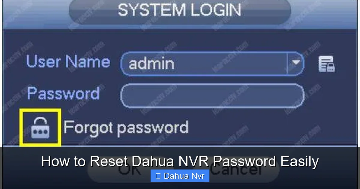 How to Reset Dahua NVR Password Easily - content1 visual guide