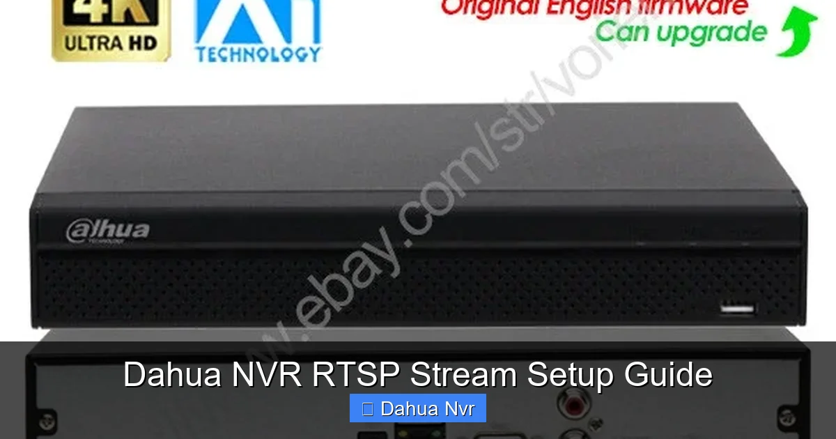 Dahua NVR RTSP Stream Setup Guide - content1 visual guide