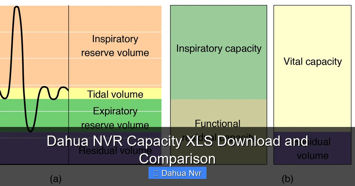 Dahua NVR Capacity XLS Download and Comparison - content2 visual guide