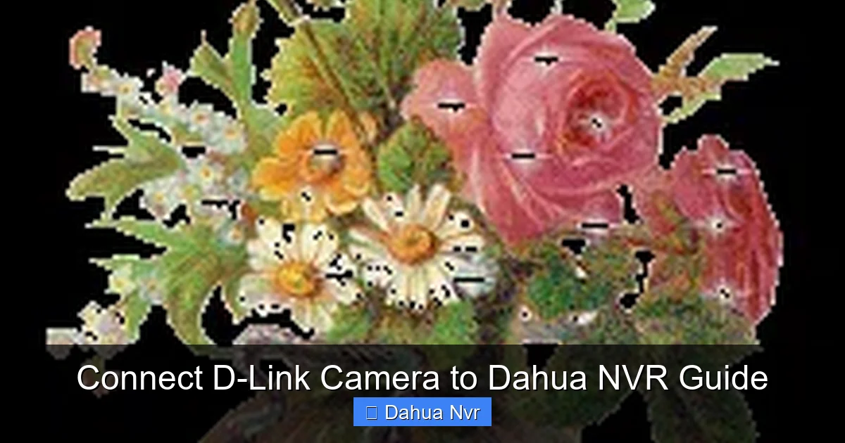 Connect D-Link Camera to Dahua NVR Guide - content1 visual guide