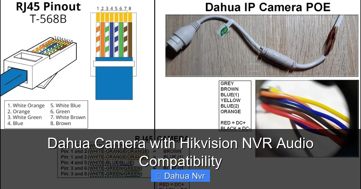 Dahua Camera with Hikvision NVR Audio Compatibility - content1 visual guide