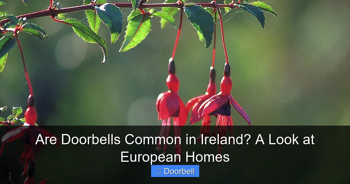 Are Doorbells Common in Ireland? A Look at European Homes - content2 visual guide