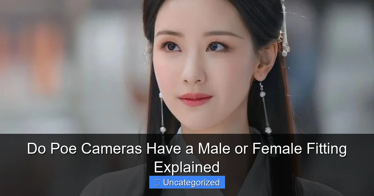 Do Poe Cameras Have a Male or Female Fitting Explained