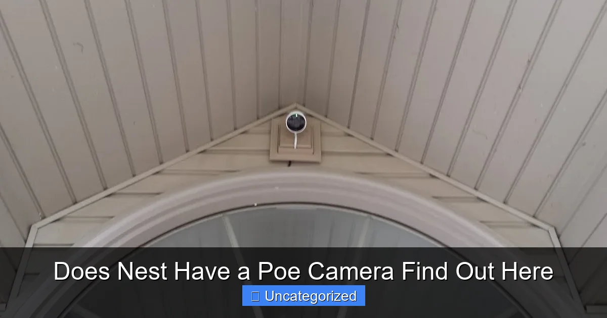 Does Nest Have a Poe Camera Find Out Here