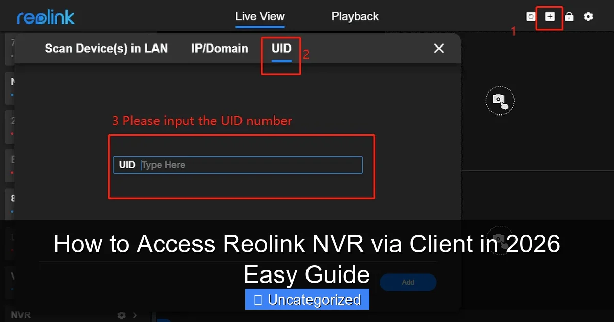 How to Access Reolink NVR via Client in 2026 Easy Guide