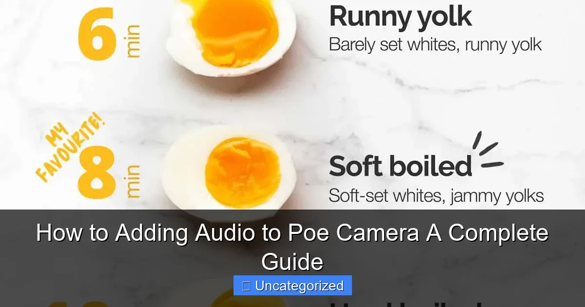 How to Adding Audio to Poe Camera A Complete Guide