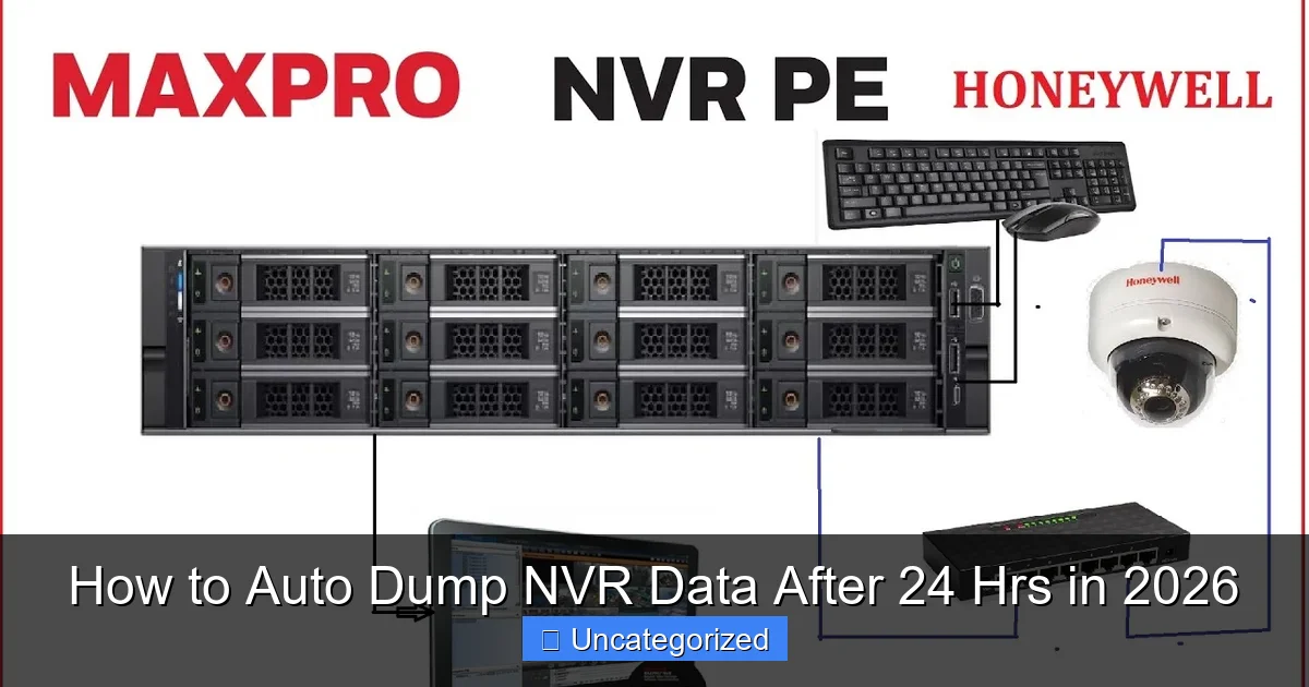 How to Auto Dump NVR Data After 24 Hrs in 2026
