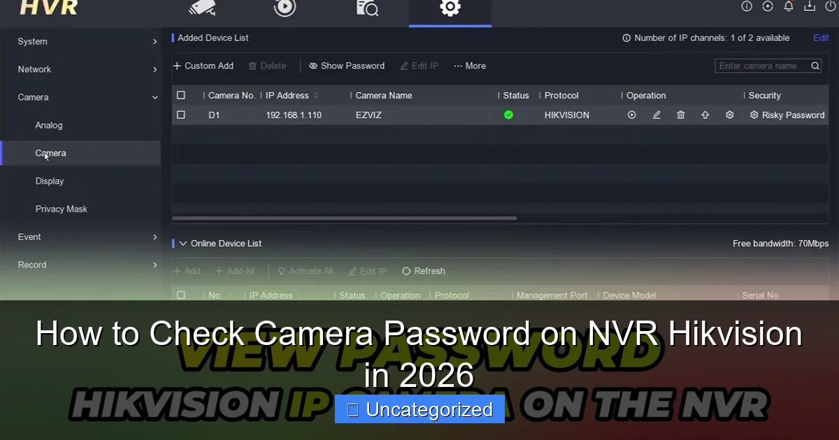 How to Check Camera Password on NVR Hikvision in 2026