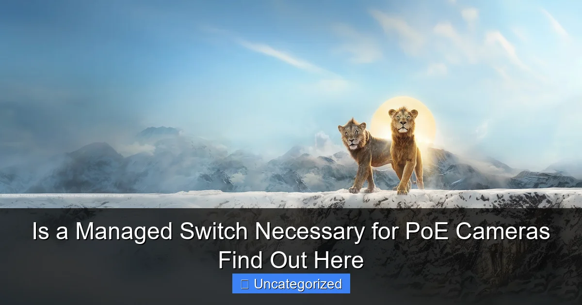 Is a Managed Switch Necessary for PoE Cameras Find Out Here