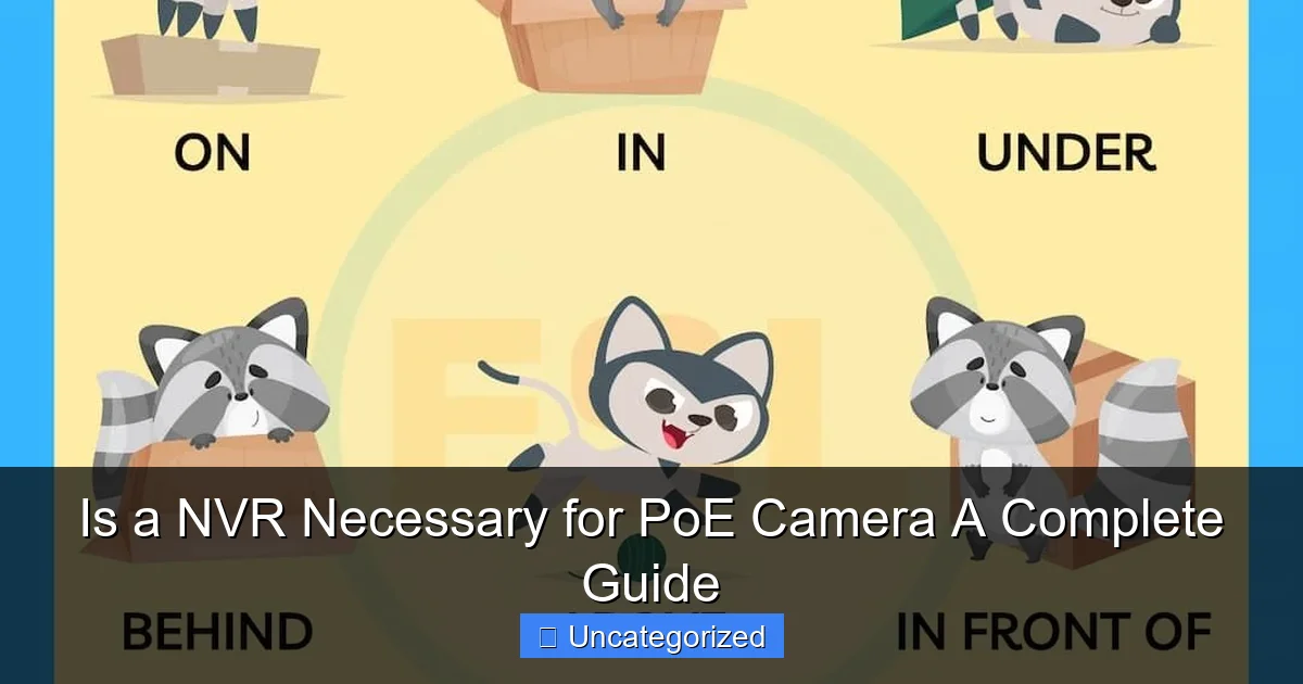 Is a NVR Necessary for PoE Camera A Complete Guide