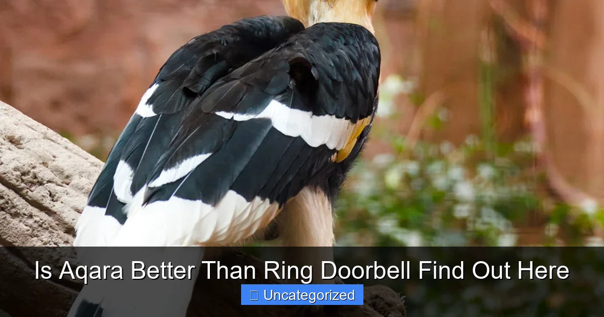 Is Aqara Better Than Ring Doorbell Find Out Here