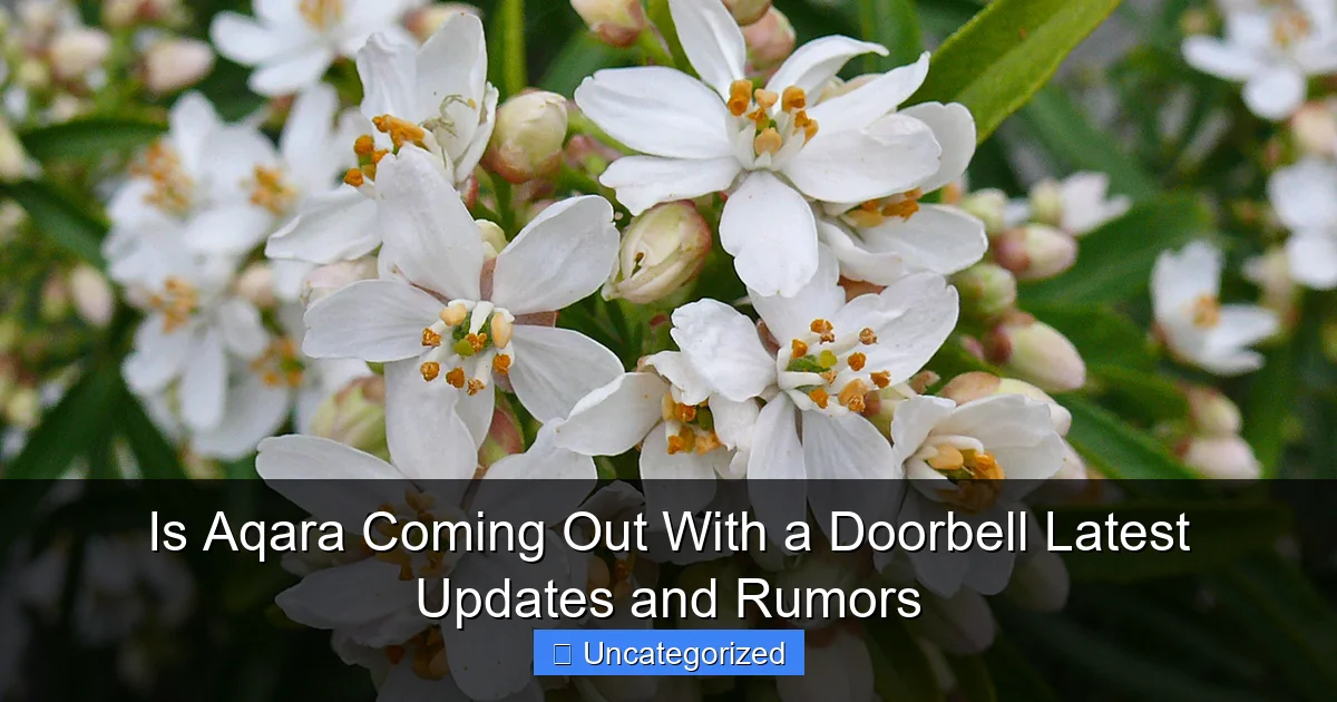 Is Aqara Coming Out With a Doorbell Latest Updates and Rumors