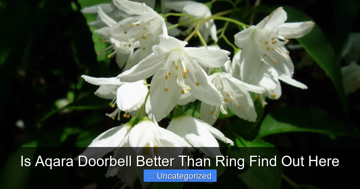 Is Aqara Doorbell Better Than Ring Find Out Here