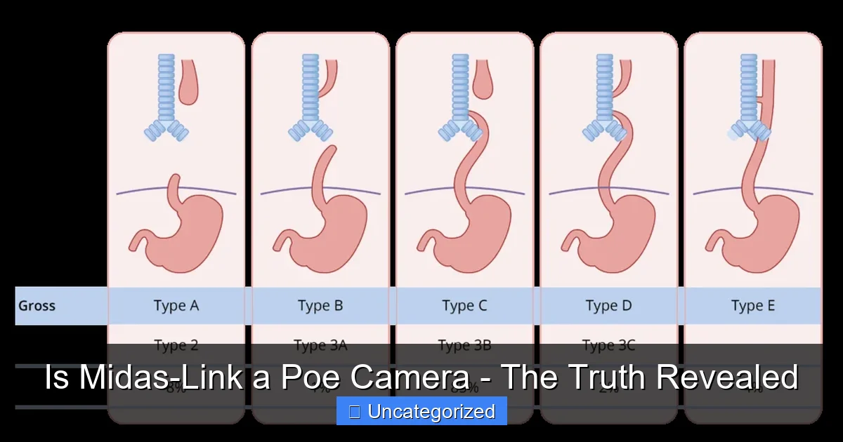 Is Midas-Link a Poe Camera - The Truth Revealed