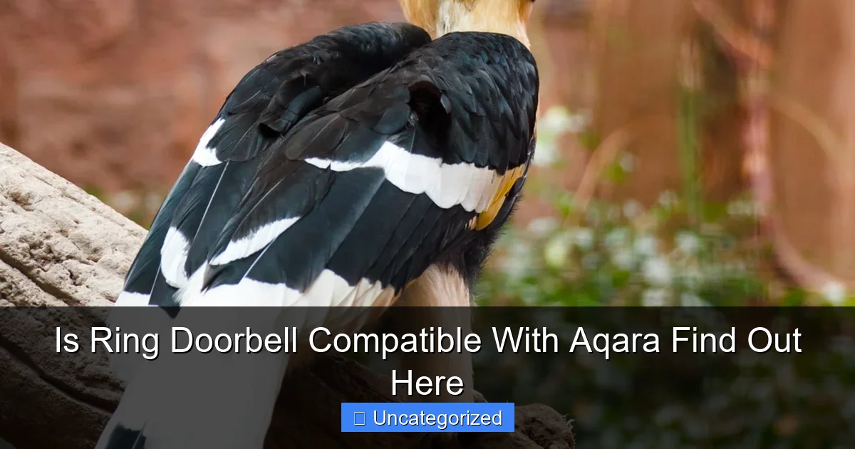 Is Ring Doorbell Compatible With Aqara Find Out Here