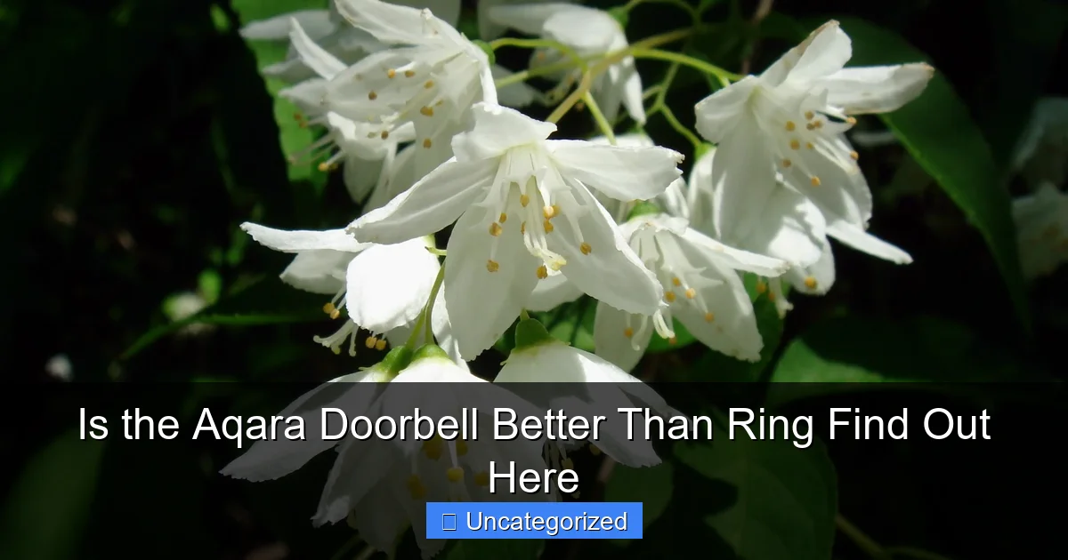 Is the Aqara Doorbell Better Than Ring Find Out Here