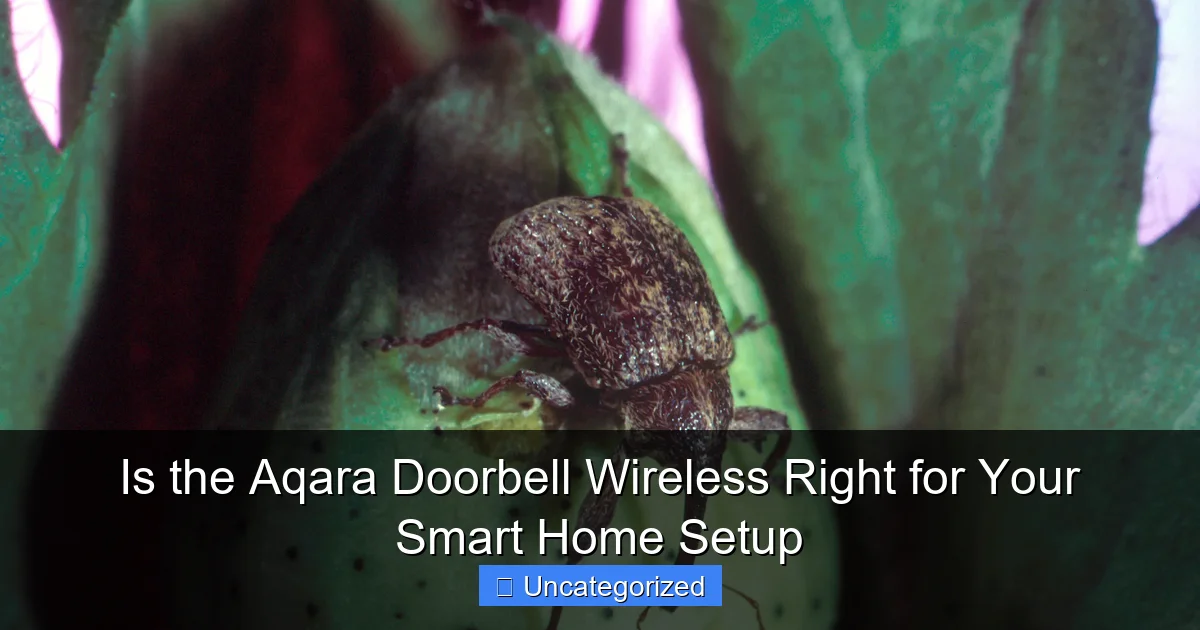 Is the Aqara Doorbell Wireless Right for Your Smart Home Setup