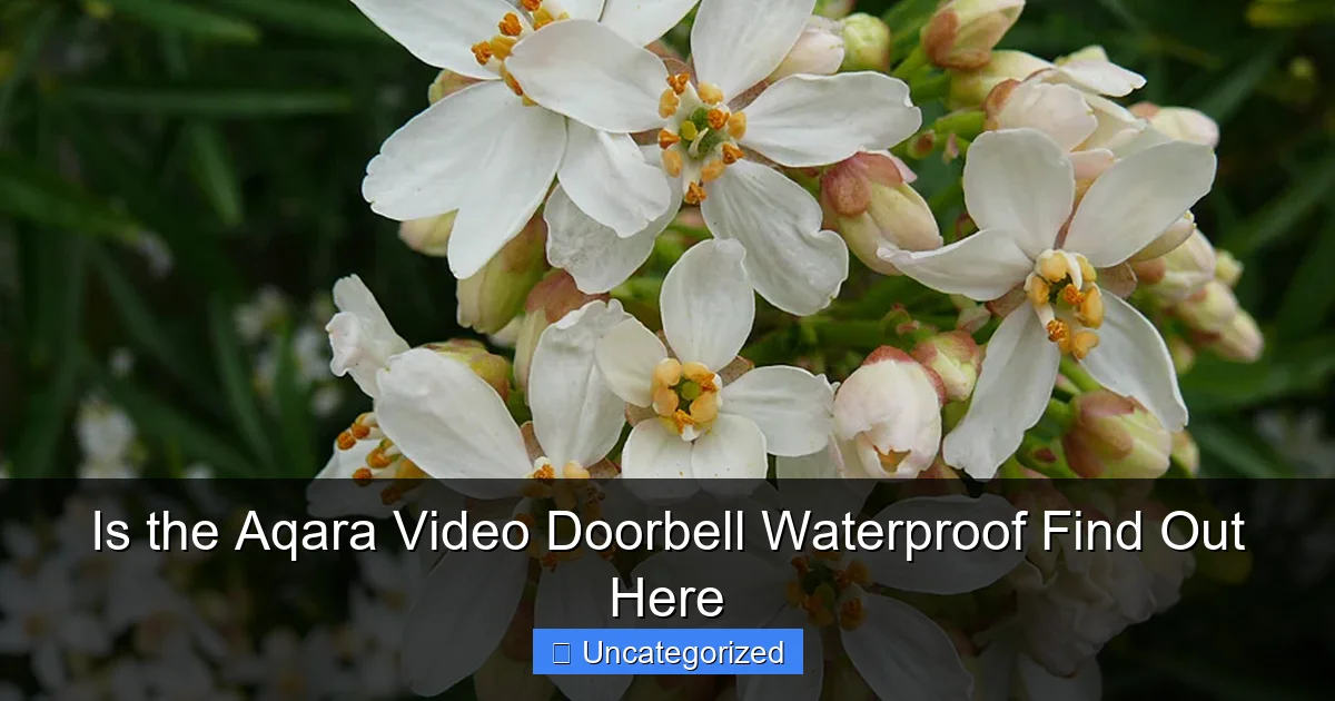 Is the Aqara Video Doorbell Waterproof Find Out Here