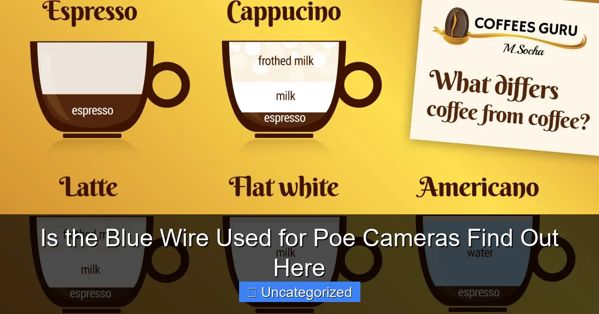 Is the Blue Wire Used for Poe Cameras Find Out Here