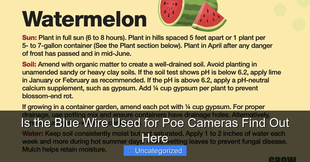 Is the Blue Wire Used for Poe Cameras Find Out Here